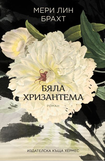 Бяла хризантема