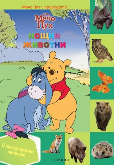 Нощни животни