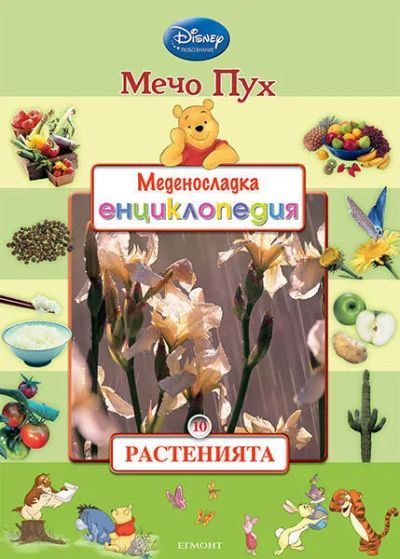 10: Растенията