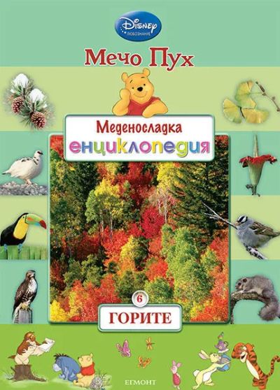 6: Горите