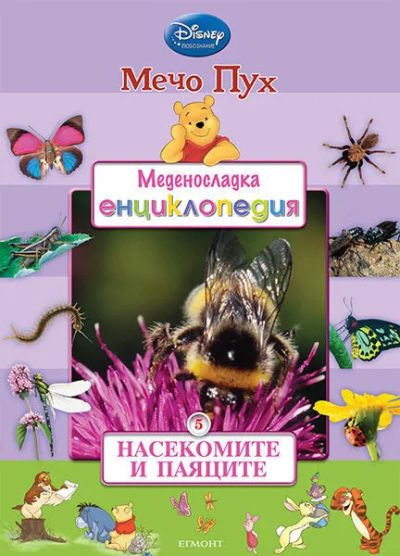 5: Насекомите и паяците