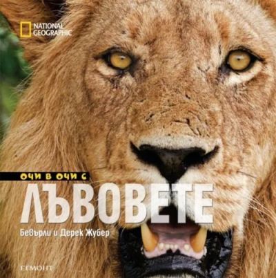 Очи в очи с лъвовете