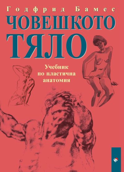 Човешкото тяло. Учебник по пластична анатомия - 2026