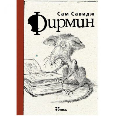 Фирмин