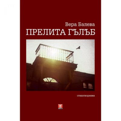 Прелита гълъб