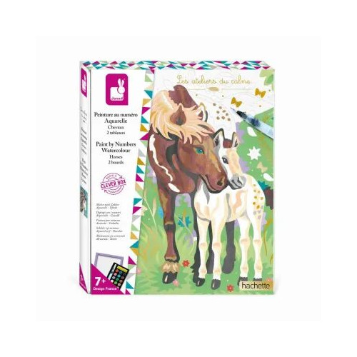 PAINTING BY NUMBERS WATERCOLOUR HORSES