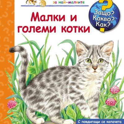 Защо? Какво? Как? Малки и големи котки