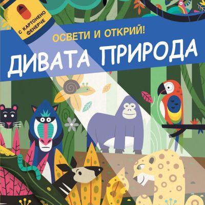 ОСВЕТИ И ОТКРИЙ! • С картонено фенерче - ДИВАТА ПРИРОДА