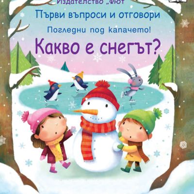 КАКВО Е СНЕГЪТ? Първи въпроси и отговори - Погледни под капачето!