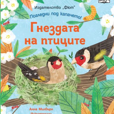 ПОГЛЕДНИ ПОД КАПАЧЕТО! ГНЕЗДАТА НА ПТИЦИТЕ