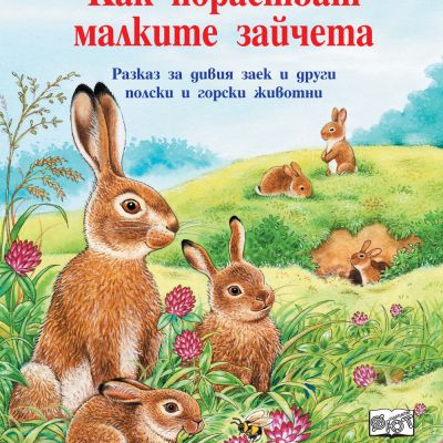 КАК ПОРАСТВАТ МАЛКИТЕ ЗАЙЧЕТА