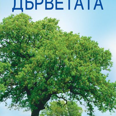 ДЪРВЕТАТА