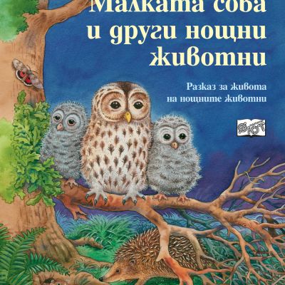 МАЛКАТА СОВА И ДРУГИ НОЩНИ ЖИВОТНИ