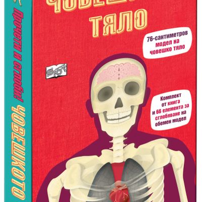 Човешкото тяло - прочети и сглоби! 76 сантиметра
