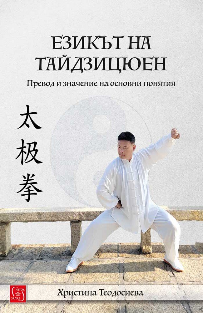 Езикът на тайдзицюен