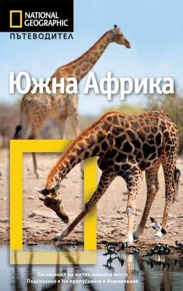 Южна Африка