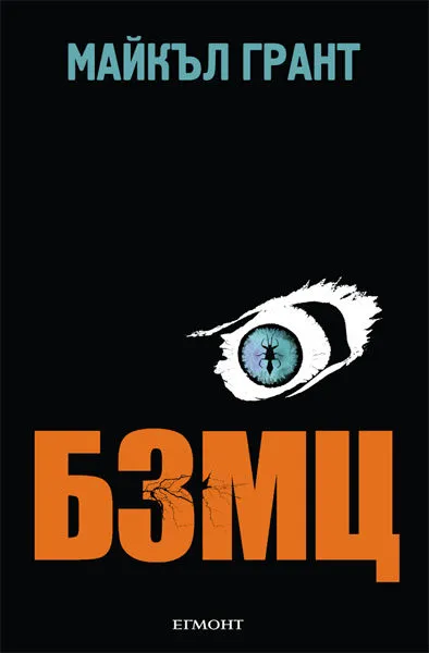 1: БЗМЦ