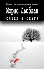 Следи в снега