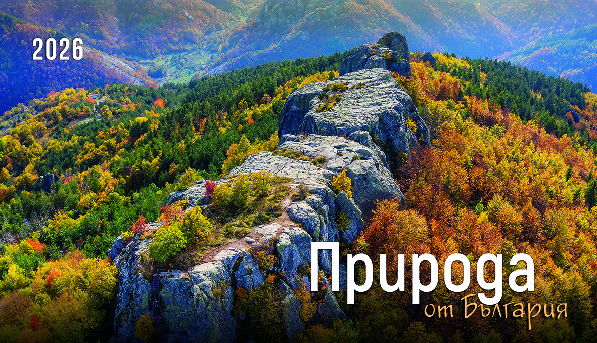 БЪЛГАРИЯ