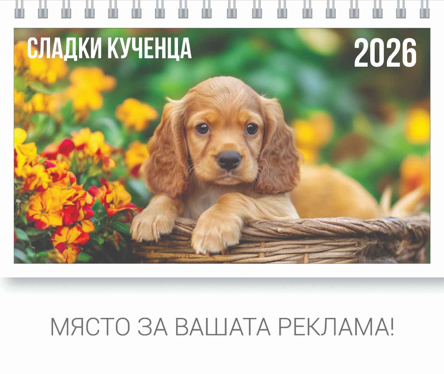 КУЧЕТА