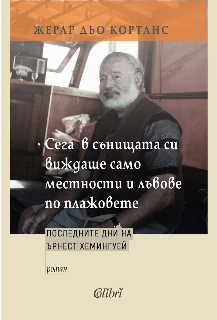 Сега в сънищата си виждаше само местности и лъвове по плажовете