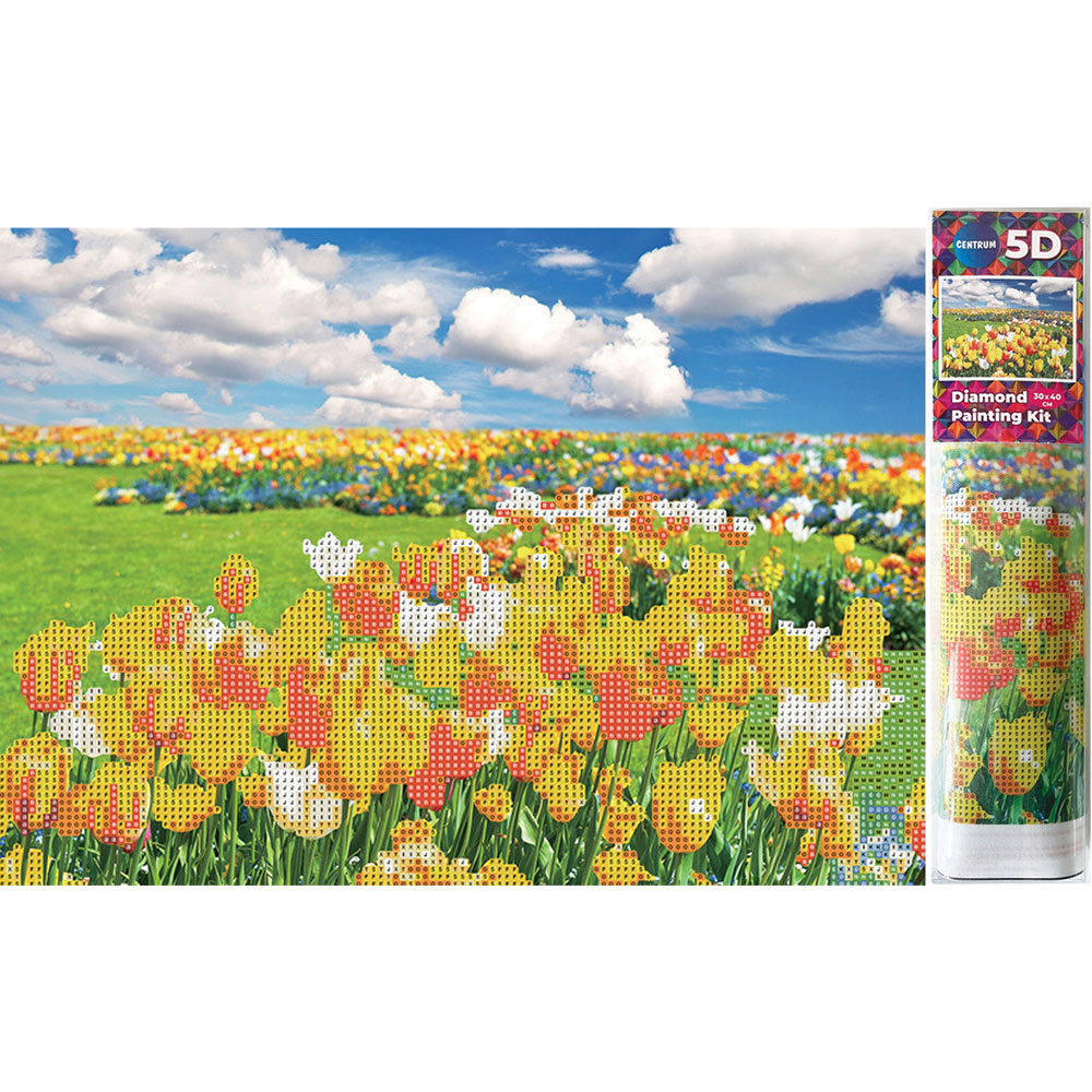 Мозайка Centrum 5D Diamond 89757 30/40см