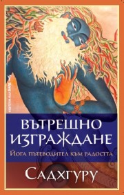 Вътрешно изграждане
